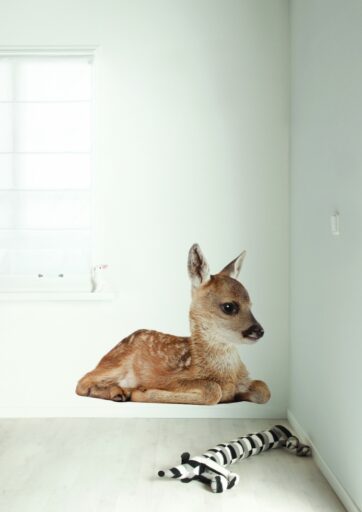 Muursticker Forest Friends Deer XL