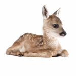Muursticker Forest Friends Deer XL