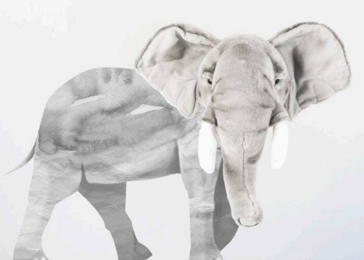 Wild And Soft Muursticker Olifant