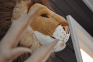 Wild And Soft Dierenkop Leeuw Cesar