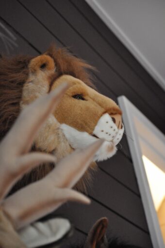 Wild And Soft Dierenkop Leeuw Cesar