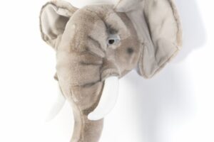 Wild And Soft Dierenkop Olifant George