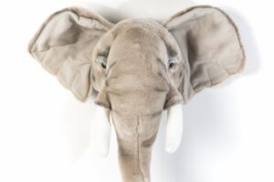 Wild And Soft Dierenkop Olifant George