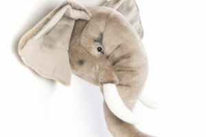 Wild And Soft Dierenkop Olifant George