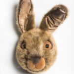Wild And Soft Dierenkop Haas Lewis
