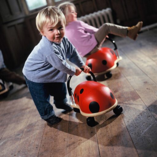 Wheelybug Lieveheersbeestje Small Loopwagen