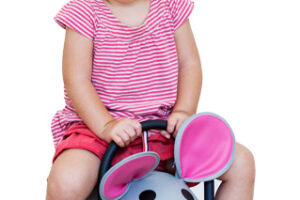 Wheelybug Muis Small Loopwagen
