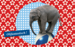Wenskaart Olifant