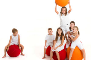 Zitbal Rood