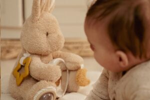 Activiteitenknuffel Baby Bunny Little Dutch