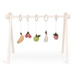 Activity Toy Set Fruit Quax