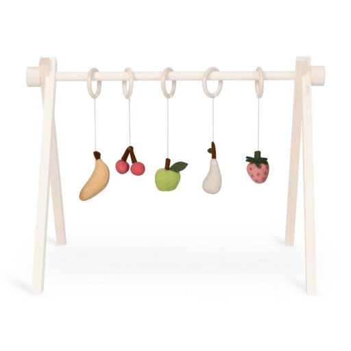 Activity Toy Set Fruit Quax