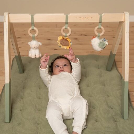 Babygym Hout Little Farm Little Dutch