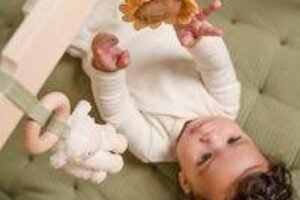Babygym Hout Little Farm Little Dutch