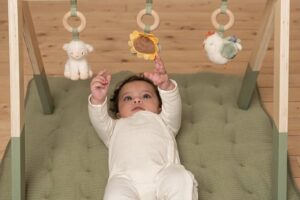 Babygym Hout Little Farm Little Dutch