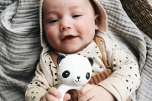 Bijtring Panda A Little Lovely Company