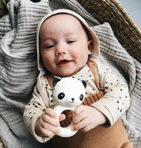 Bijtring Panda A Little Lovely Company