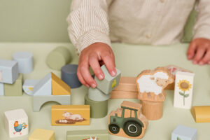 Bouwblokken Little Farm Little Dutch