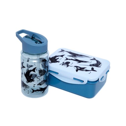 Brooddoos Sea Animals Blauw Petit Monkey