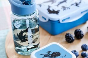 Brooddoos Sea Animals Blauw Petit Monkey