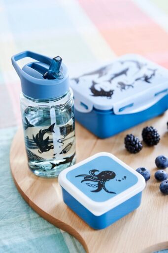Brooddoos Sea Animals Blauw Petit Monkey