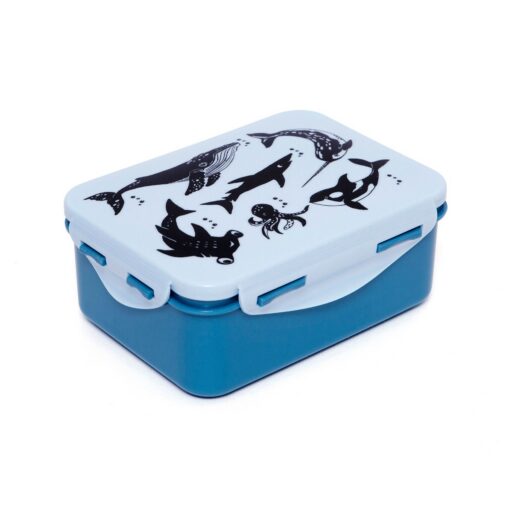 Brooddoos Sea Animals Blauw Petit Monkey