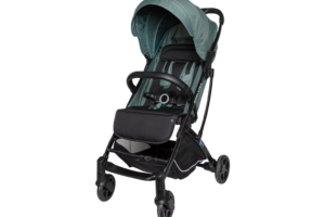 Buggy Gen Forest Green Koelstra