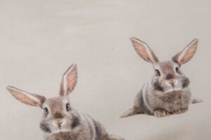 Snurk Dekbedovertrek Bunny 140 x 200