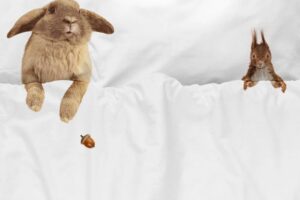 Snurk Dekbedovertrek Furry Friends Flanel 140 x 200