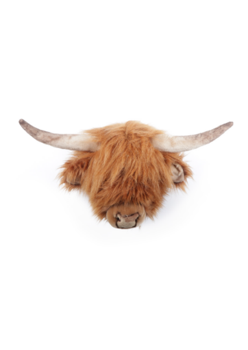 Wild And Soft Dierenkop Schotse Koe Nicolas