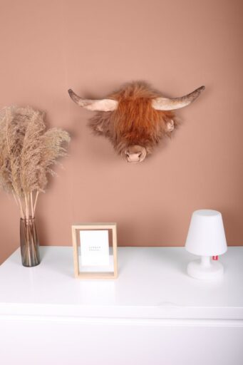 Wild And Soft Dierenkop Schotse Koe Nicolas
