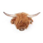 Wild And Soft Dierenkop Schotse Koe Nicolas