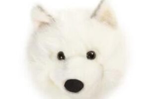 Wild And Soft Dierenkop Witte Wolf Lucy