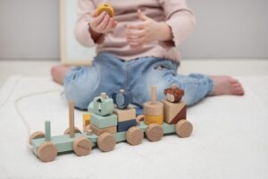 Dierentrein Hout Trixie