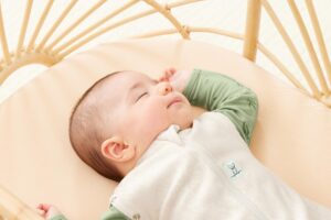 Inbakerslaapzak Ergococoon Oatmeal Marle 0-3M Ergopouch