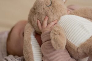 Knuffel Met Hartslag Milo Brown Flow