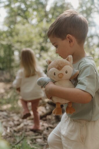 Knuffel Uil Forest Friends Little Dutch