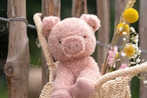 Knuffel Varken Little Farm 25 Cm Little Dutch