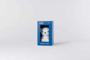 Lampje Bundle Of Light Boris Mr Maria