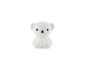 Lampje Bundle Of Light Boris Mr Maria