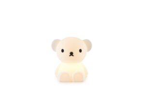 Lampje Bundle Of Light Boris Mr Maria