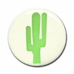Wonderwall Magneetje Cactus