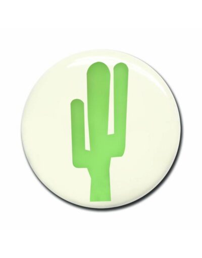 Wonderwall Magneetje Cactus