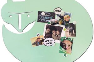 Wonderwall Magneetbord Vos Mint X-Large