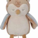 Muziekdoosje Uil Forest Friends Little Dutch