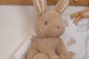 Muziekdoosje Baby Bunny Little Dutch