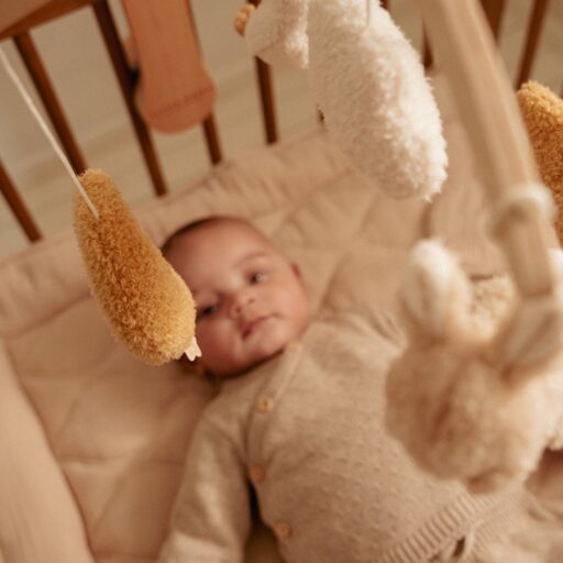 Muziekmobiel Hout Newborn Naturals Little Dutch