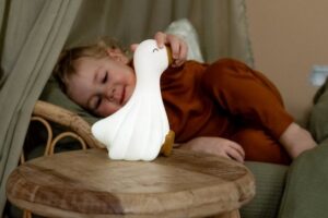 Nachtlampje Little Goose Little Dutch