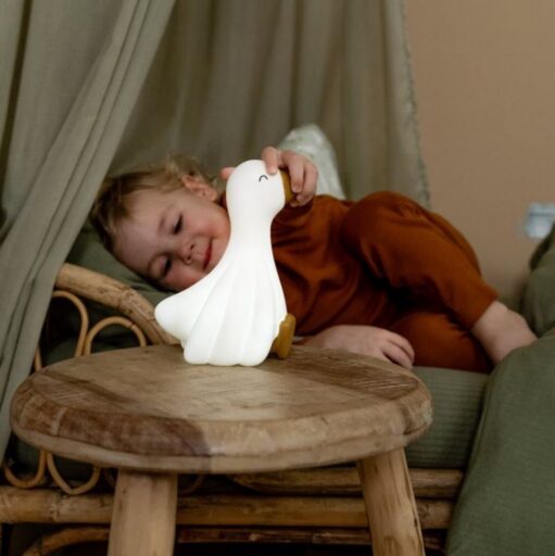 Nachtlampje Little Goose Little Dutch