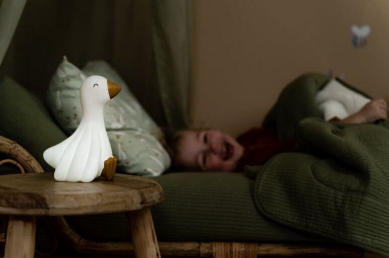 Nachtlampje Little Goose Little Dutch